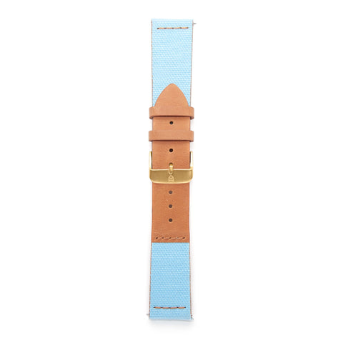 Light Blue Dual